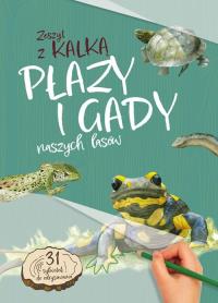 Płazy i gady naszych lasów. Zeszyt z kalką. Autor: Katarzyna Kopiec-Sekieta. Dobreksiazki.pl Okładka książki Płazy i gady naszych lasów. Zeszyt z kalką