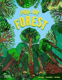 Pop-Up Forest. Autor: Daugey Fleur, Vaillant Tom, Duisit Bernard. Dobreksiazki.pl Okładka książki Pop-Up Forest