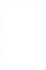 Okładka książki Psie serce