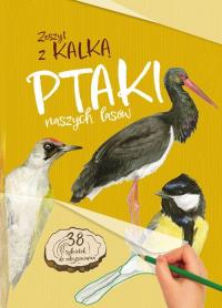 Ptaki naszych lasów. Zeszyt z kalką. Autor: Katarzyna Kopiec-Sekieta. Dobreksiazki.pl Okładka książki Ptaki naszych lasów. Zeszyt z kalką