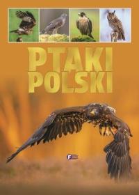 Okładka książki Ptaki Polski