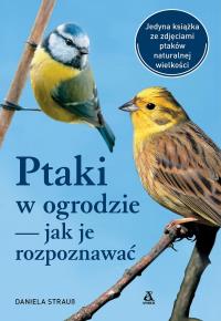 Ptaki w ogrodzie — jak je rozpoznawać wyd. 2025. Autor: Daniela Strauss. Dobreksiazki.pl Okładka książki Ptaki w ogrodzie — jak je rozpoznawać wyd. 2025