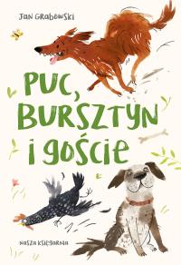 Puc, Bursztyn i goście. Autor: Jan Grabowski. Dobreksiazki.pl Okładka książki Puc, Bursztyn i goście