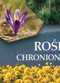 Rośliny chronione w Polsce - uszkodzone. Autor: Praca zbiorowa. Dobreksiazki.pl Okładka książki Rośliny chronione w Polsce - uszkodzone