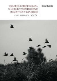 Okładka książki Tożsamość, pamięć i narracja w anglojęzycznym...