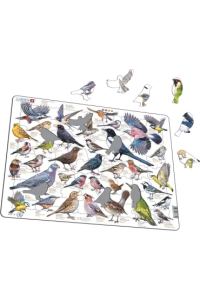 Układanka Garden Birds Ptaki ogrodowe polne Maxi. Wydawca: Larsen. Dobreksiazki.pl Opakowanie Układanka Garden Birds Ptaki ogrodowe polne Maxi