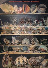 Okładka książki Zbieracze i osobliwości. Paryż-Wenecja XVI-XVIII wiek wyd. 2