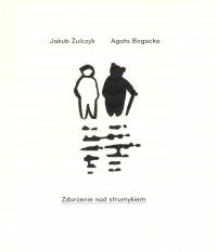 Okładka książki Zdarzenie nad strumykiem