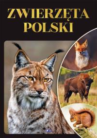 Zwierzęta Polski. Autor: Opracowanie zbiorowe. Dobreksiazki.pl Okładka książki Zwierzęta Polski