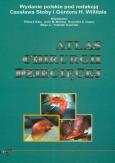 Atlas chirurgii dziecięcej. Autor: Stoba Czesław, Willital Guner H.. Dobreksiazki.pl Okładka książki Atlas chirurgii dziecięcej