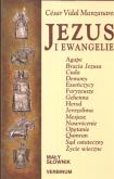 Okładka książki Jezus i Ewangelie