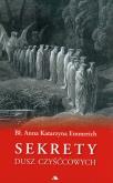 Okładka książki Sekrety dusz czyśćcowych