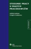 Okładka książki Stosunki pracy u małych pracodawców