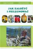 Jak założyć i pielęgnować ogród. Autor: Szcześniak Adam, Szcześniak Alicja. Dobreksiazki.pl Okładka książki Jak założyć i pielęgnować ogród