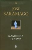 Okładka książki Kamienna tratwa