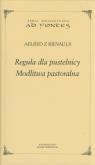 Okładka książki Reguła dla pustelnicy. Modlitwa pastoralna