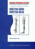 Opakowanie APC Kończyna górna Kończyna dolna