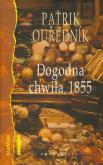 Okładka książki Dogodna chwila 1855