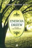 Energia drzew ich aura i moc uzdrawiania. Autor: Reid Jasmin, Reid Michael. Dobreksiazki.pl Okładka książki Energia drzew ich aura i moc uzdrawiania