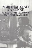 Okładka książki Zgromadzenia zakonne w medycynie i farmacji na Śląsku i Zagłębiu