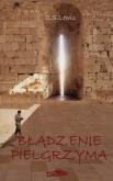 Okładka książki Błądzenie pielgrzyma