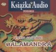 Okładka książki Salamandra - Audiobook