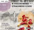 Okładka książki W poszukiwaniu straconego czasu - Audiobook