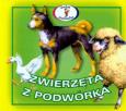 Okładka książki Harmonijka - zwierzęta z podwórka