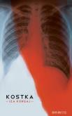 Okładka książki Kostka