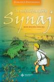 Okładka książki U podnóża góry Synaj DiKŚW