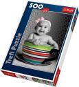 Puzzle 500 Ślicznotka TREFL. Autor: 37167. Dobreksiazki.pl Okładka książki Puzzle 500 Ślicznotka TREFL