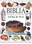 Okładka książki Biblia szkolna