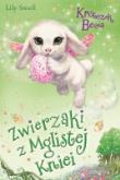 Okładka książki Króliczek Becia