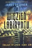 Okładka książki Więzień labiryntu