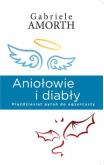 Okładka książki Aniołowie i diabły