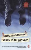 Okładka książki Ofiara w środku zimy - Mons Kallentoft