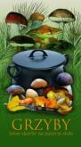 Okładka książki Grzyby. Leśne skarby na naszym stole