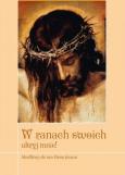 Okładka książki W ranach swoich ukryj mnie!