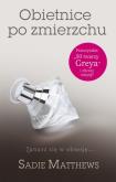 Okładka książki Obietnice po zmierzchu