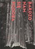 Okładka książki Bardzo nam się podoba
