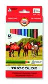 Opakowanie Kredki Triocolor 12 kolorów