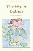 The Water Babies. Autor: Kingsley Charles. Dobreksiazki.pl Okładka książki The Water Babies
