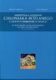 Okładka książki Genetyka i leczenie chłoniaka rozlanego z dużych komórek B (DLBCL)