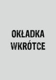 Okładka książki Excel 2016 VBA i makra