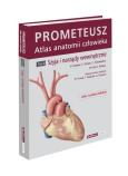 Prometeusz Atlas Anatomii Człowieka Tom 2 Szyja i narządy wewnętrzne. Autor: Schunke M., Schulte E., Schumacher U., Voll M., Wesker K.. Dobreksiazki.pl Okładka książki Prometeusz Atlas Anatomii Człowieka Tom 2 Szyja i narządy wewnętrzne