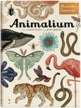 Okładka książki Animalium