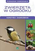 Natura Zwierzęta w ogródku. Autor: Opracowanie zbiorowe. Dobreksiazki.pl Okładka książki Natura Zwierzęta w ogródku