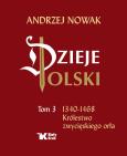 Okładka książki Dzieje Polski Tom 3 1340-1468 Królestwo zwycięskiego orła