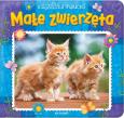 Okładka książki Małe zwierzęta Książeczka malucha