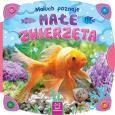 Okładka książki Maluch poznaje małe zwierzęta